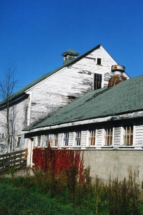 Cow Shed and Barn